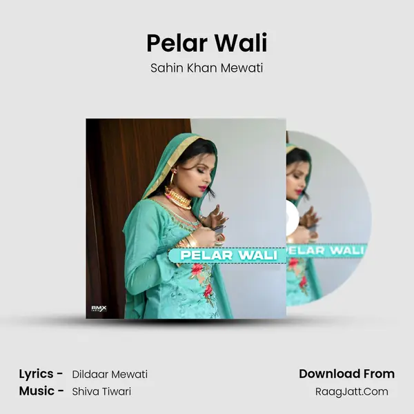 Pelar Wali - Sahin Khan Mewati