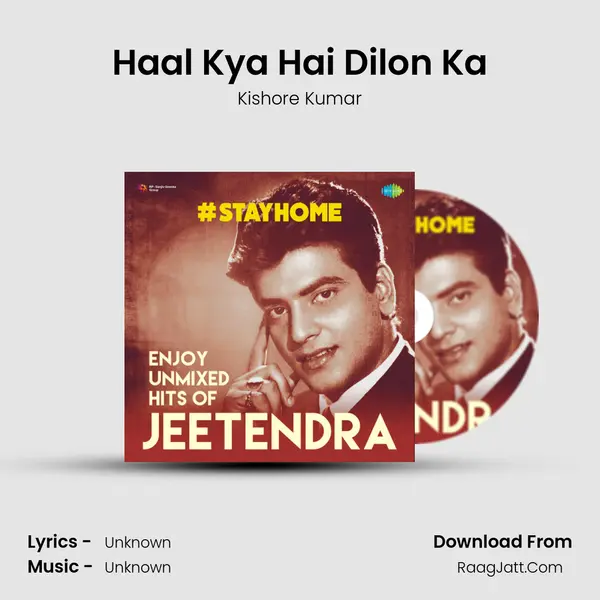 Haal Kya Hai Dilon Ka Cover