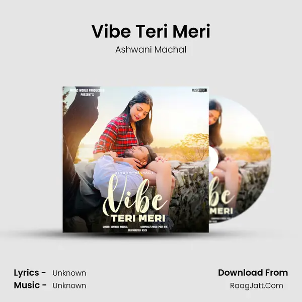 Vibe Teri Meri Cover