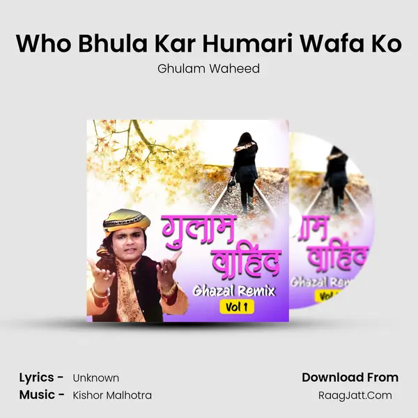Who Bhula Kar Humari Wafa Ko mp3 song