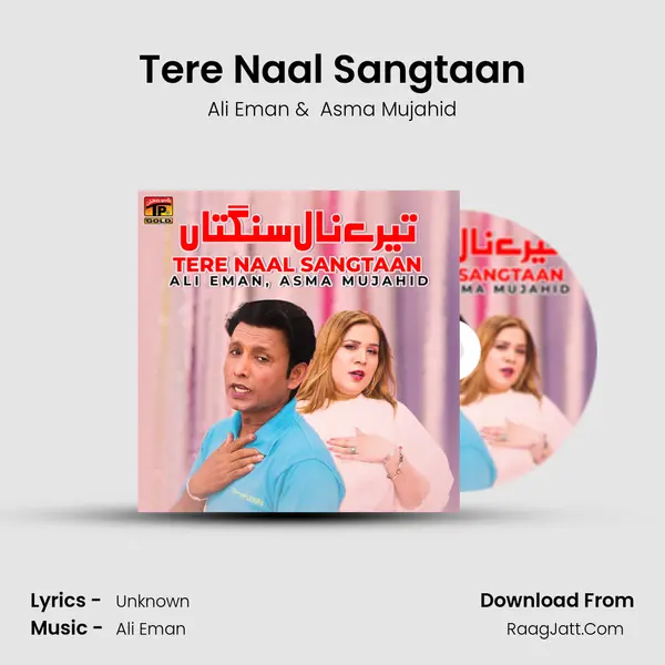 Tere Naal Sangtaan MP3 Song by Ali Eman Cover