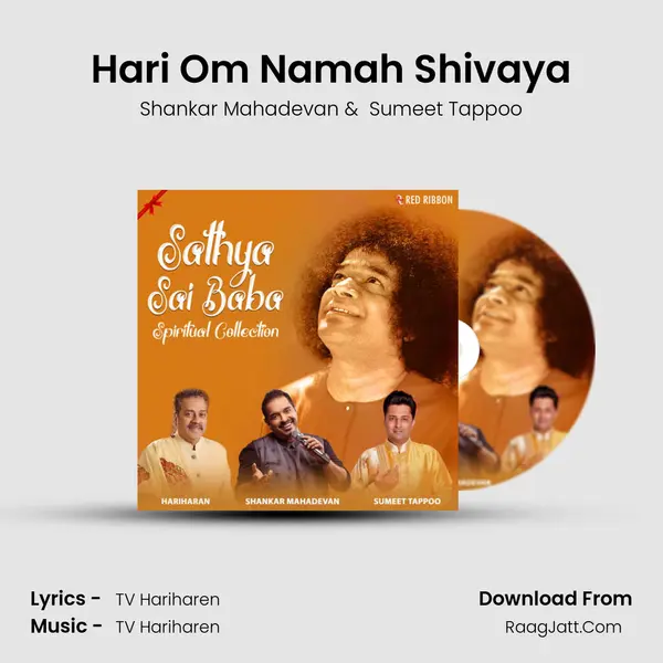 Hari Om Namah Shivaya Cover