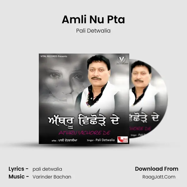 Amli Nu Pta Cover