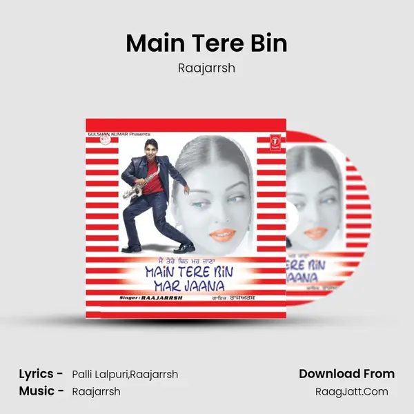 Main Tere Bin MP3 Song by Raajarrsh Cover