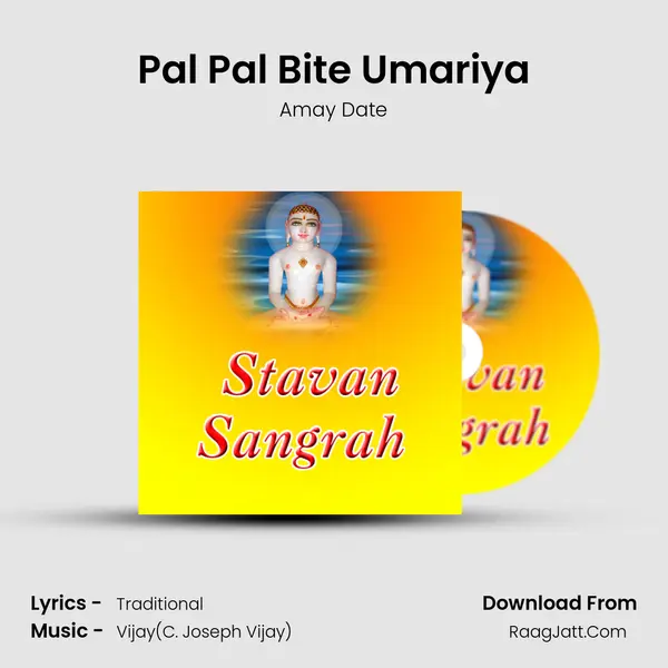 Pal Pal Bite Umariya MP3 Song by Amay Date Cover