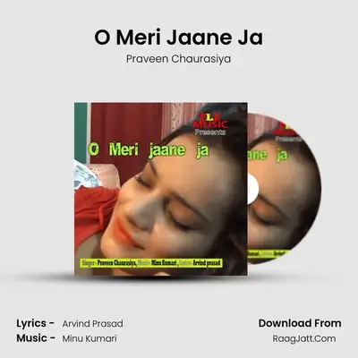 O Meri Jaane Ja - Praveen Chaurasiya