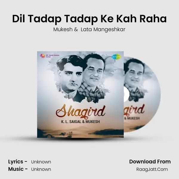 Dil Tadap Tadap Ke Kah Raha Cover