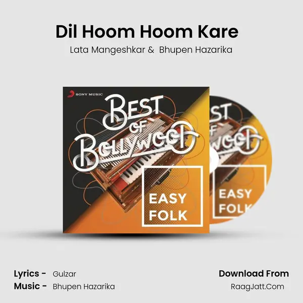 Dil Hoom Hoom Kare (From "Rudaali") (Female Version) Cover