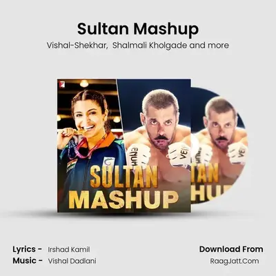 Sultan Mashup MP3 Song by Vishal-Shekhar Cover