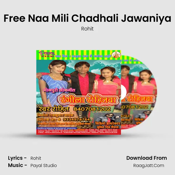 Free Naa Mili Chadhali Jawaniya MP3 Song by Rohit Cover