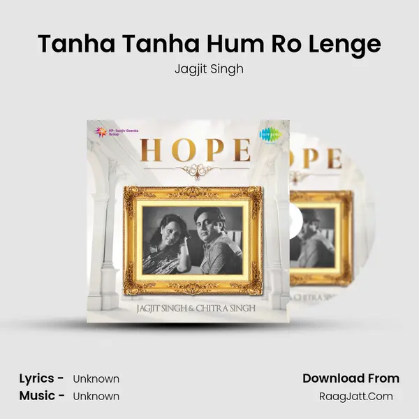 Tanha Tanha Hum Ro Lenge MP3 Song by Jagjit Singh Cover