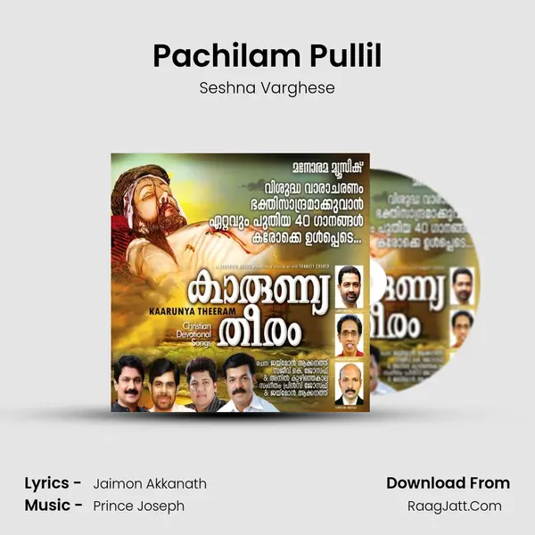 Pachilam Pullil MP3 Song by Seshna Varghese Cover