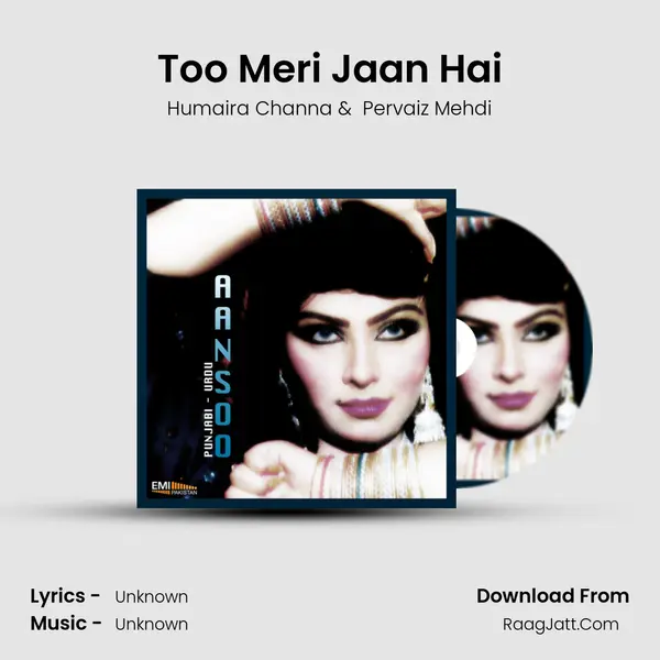 Too Meri Jaan Hai MP3 Song by Humaira Channa Cover