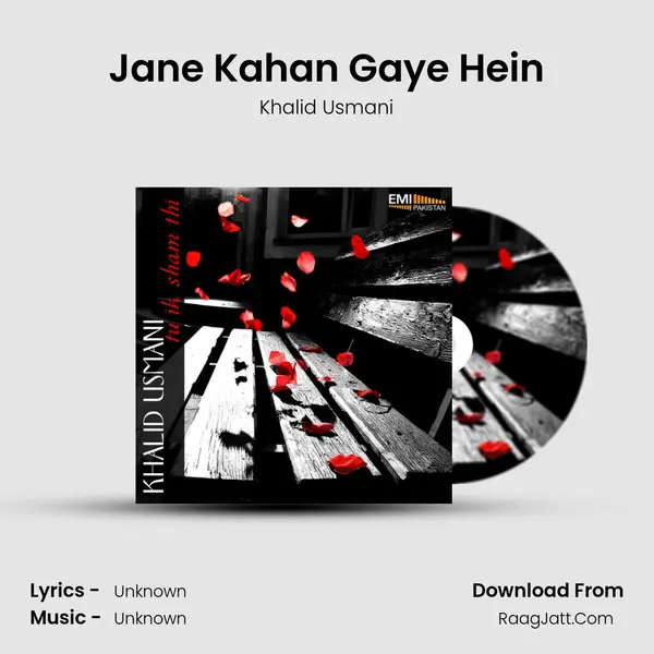 Jane Kahan Gaye Hein MP3 Song by Khalid Usmani Cover