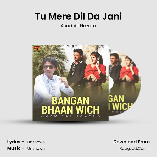 Tu Mere Dil Da Jani mp3 song