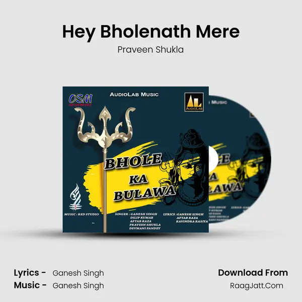 Hey Bholenath Mere MP3 Song by Praveen Shukla Cover