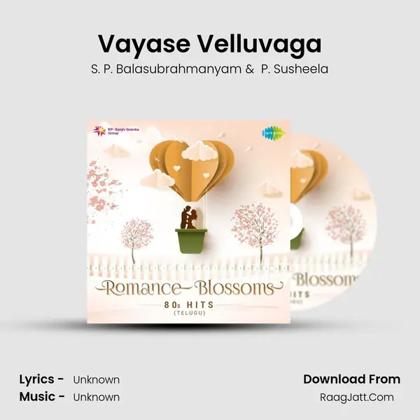 Vayase Velluvaga Cover