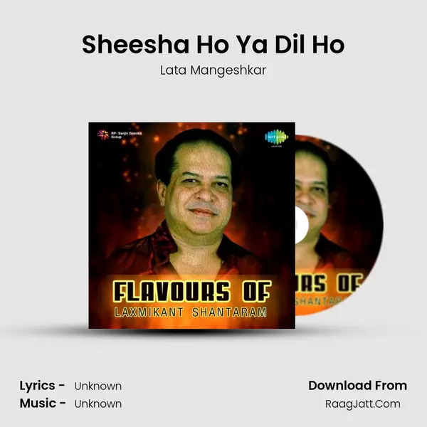 Sheesha Ho Ya Dil Ho Cover