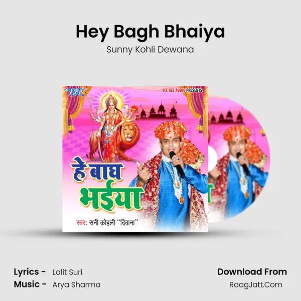 Hey Bagh Bhaiya MP3 Song by Sunny Kohli Dewana Cover