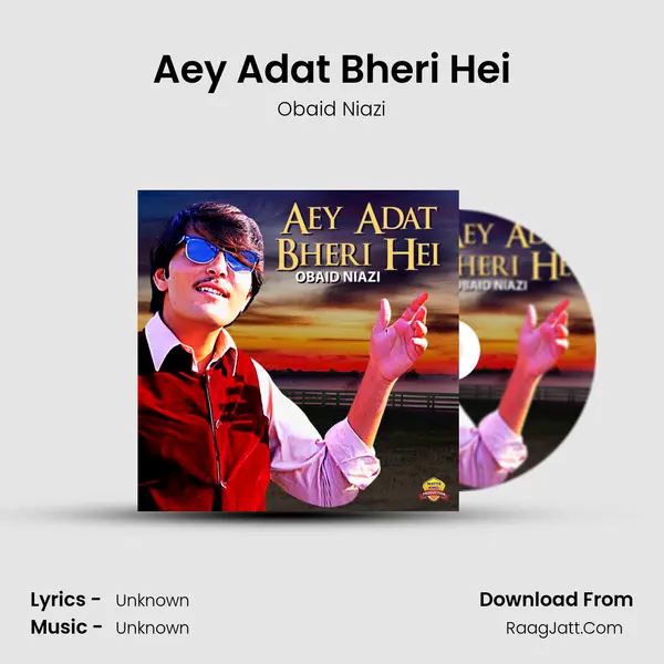 Aey Adat Bheri Hei mp3 song