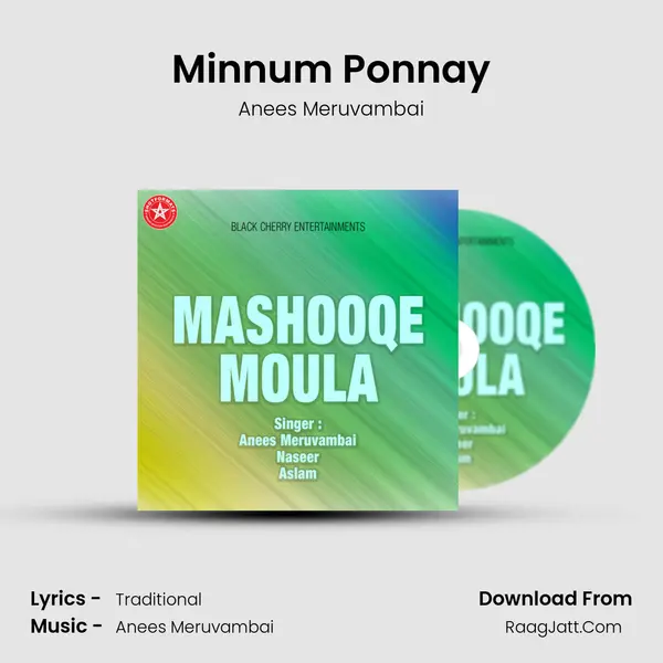 Minnum Ponnay MP3 Song by Anees Meruvambai Cover