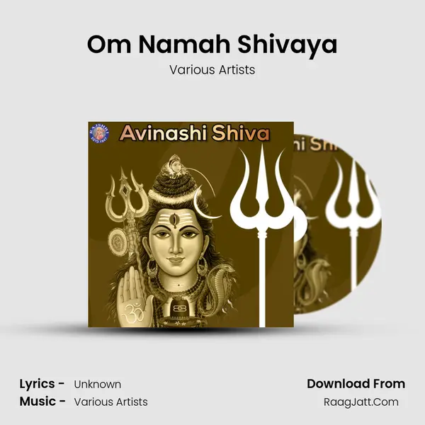 Om Namah Shivaya MP3 Song by Various Artists Cover