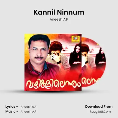 Kannil Ninnum (From 