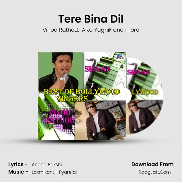Tere Bina Dil MP3 Song by Vinod Rathod Cover