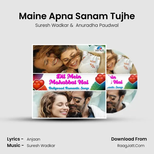 Maine Apna Sanam Tujhe Cover