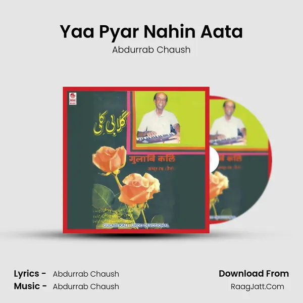 Yaa Pyar Nahin Aata MP3 Song by Abdurrab Chaush Cover
