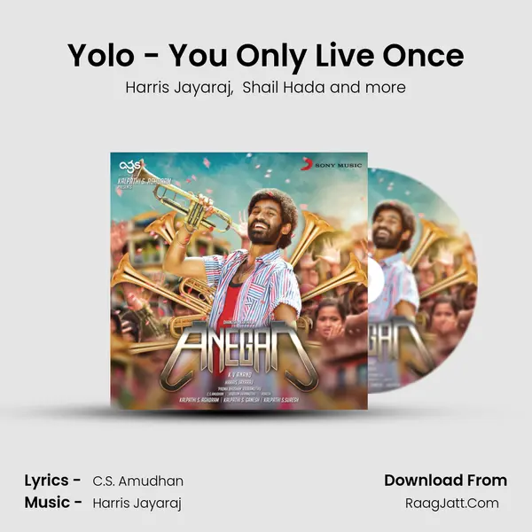 Yolo - You Only Live Once mp3 song