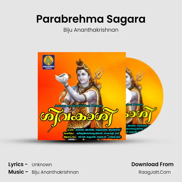 Parabrehma Sagara MP3 Song by Biju Ananthakrishnan Cover