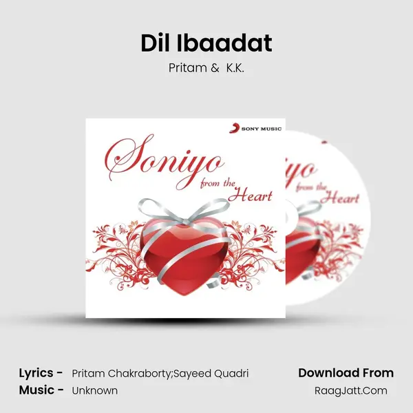 Dil Ibaadat Cover