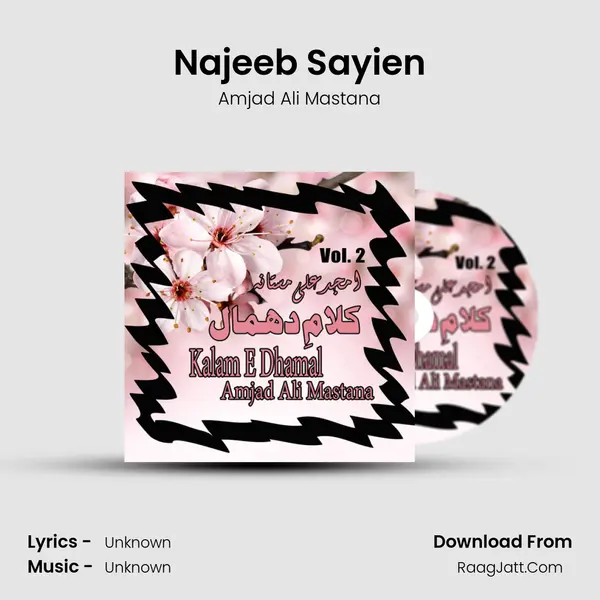 Najeeb Sayien MP3 Song by Amjad Ali Mastana Cover