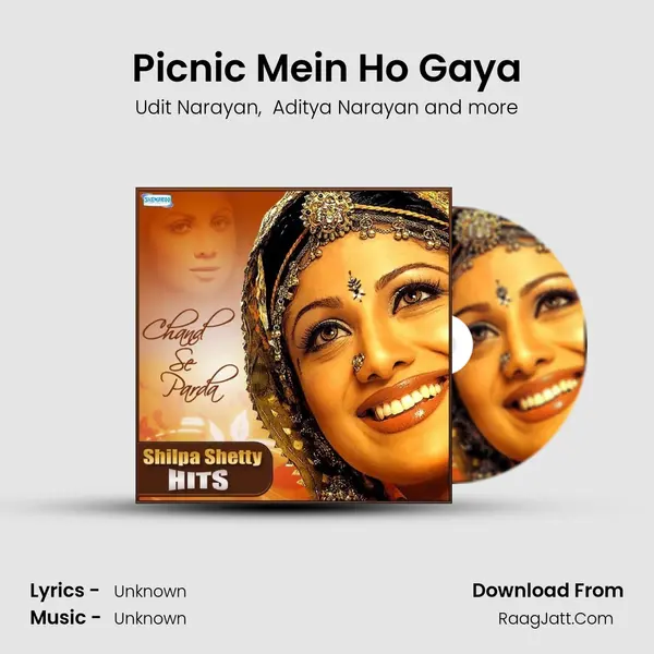 Picnic Mein Ho Gaya MP3 Song by Udit Narayan Cover
