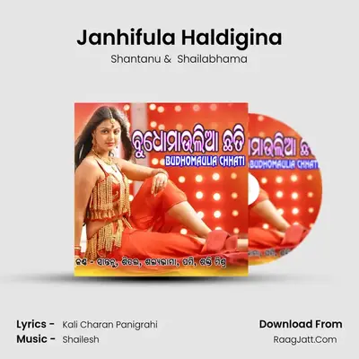 Janhifula Haldigina MP3 Song by Shantanu Cover