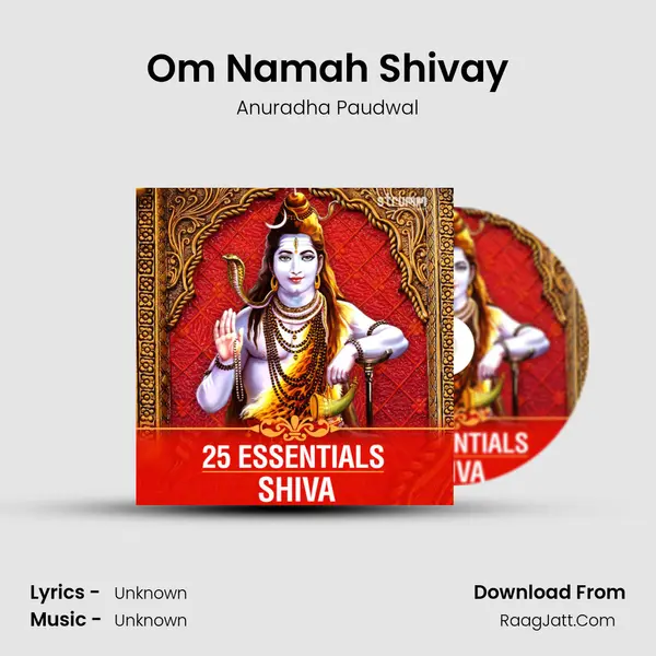 Om Namah Shivay Cover
