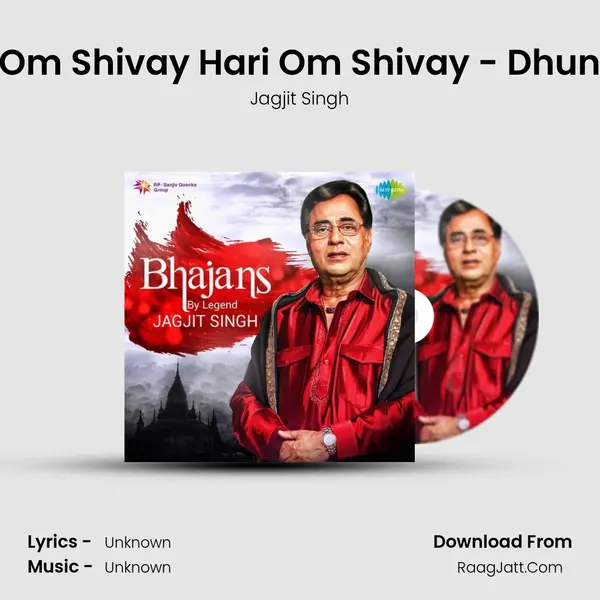 Om Shivay Hari Om Shivay - Dhun Cover