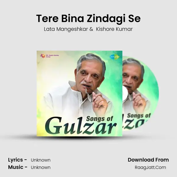 Tere Bina Zindagi Se Cover