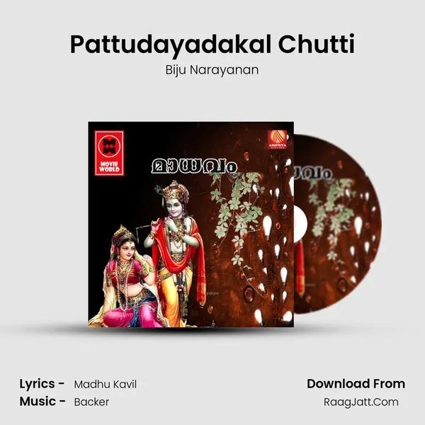 Pattudayadakal Chutti MP3 Song by Biju Narayanan Cover