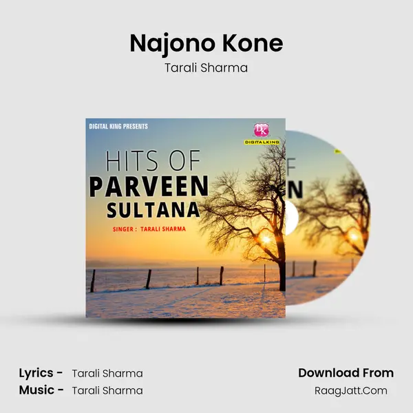 Hits Of Parveen Sultana - Tarali Sharma