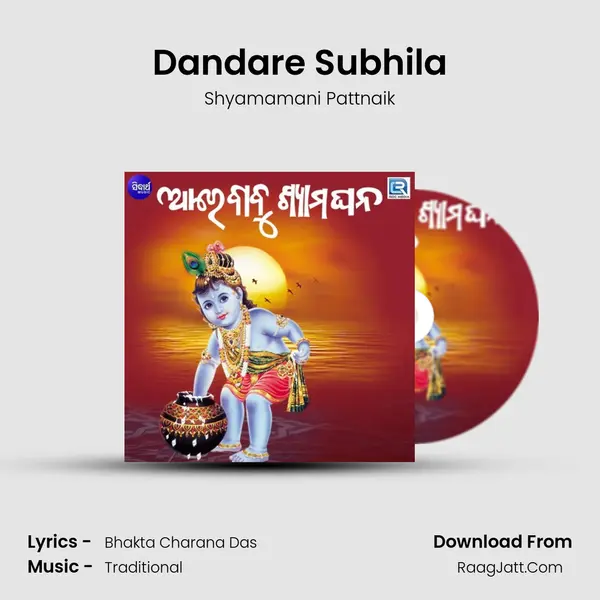 Dandare Subhila MP3 Song by Shyamamani Pattnaik Cover