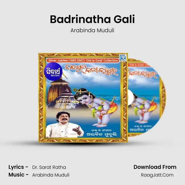 Badrinatha Gali MP3 Song by Arabinda Muduli Cover