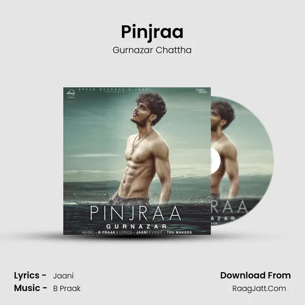 Pinjraa MP3 Song by Gurnazar Chattha Cover
