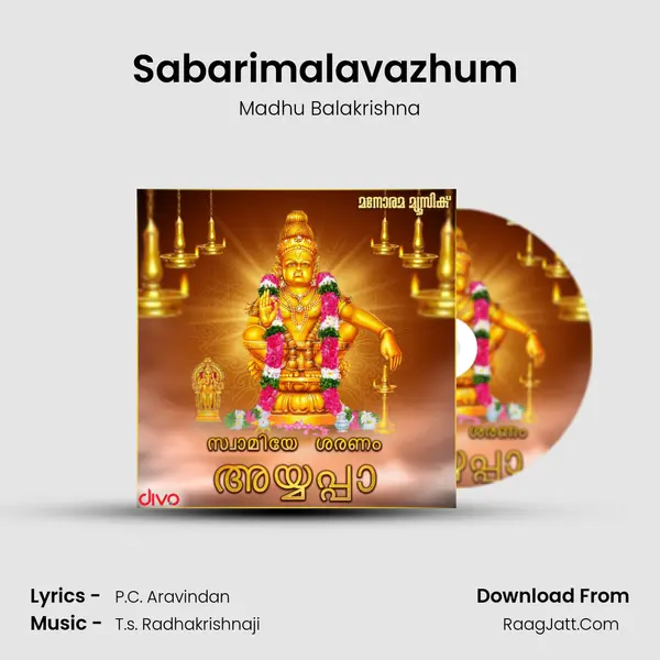 Sabarimalavazhum (From - Swami Saranam Ayyappa) MP3 Song by Madhu Balakrishna Cover