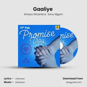 Gaaliye (From "Sanchari") Cover