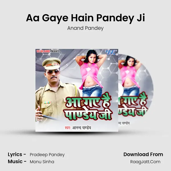 Aa Gaye Hain Pandey Ji mp3 song