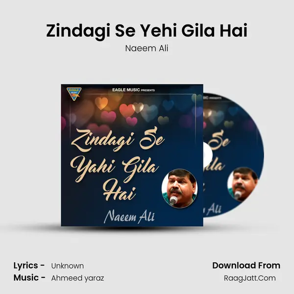 Zindagi Se Yehi Gila Hai - Single - Naeem Ali