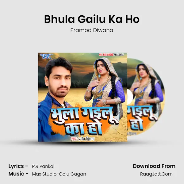 Bhula Gailu Ka Ho mp3 song
