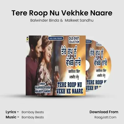 Tere Roop Nu Vekhke Naare mp3 song